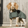Dog  Field 2-in-1 Waterproof Drying Coat, tørredækken til hund - str. XS