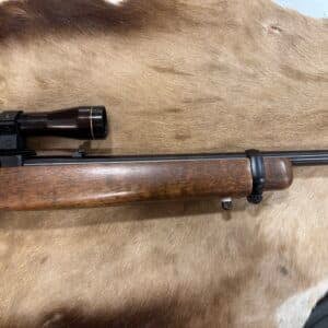 Ruger 10/22 Leupold 2-7×24