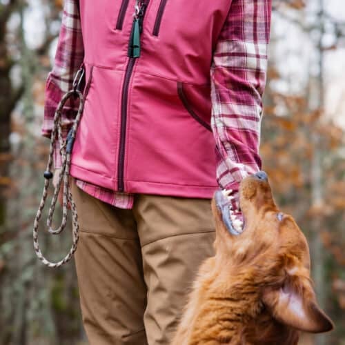 Pinewood Lady Dog Sports Stretch Vest - Cherry Pink
