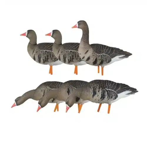 Avian-X AXF Blisgås Fusion Pack - 6 stk.