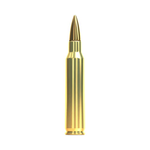 Sellier & Bellot 223 Rem FMJ - 3,6g/55gr