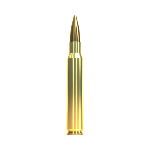 Sellier & Bellot .30-06 FMJ - 9,55g/147gr