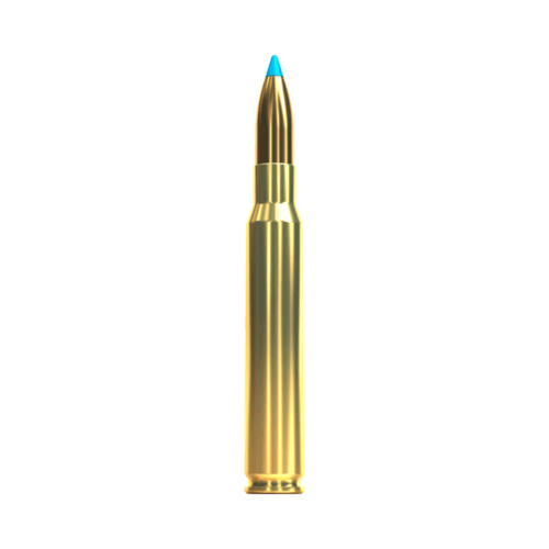 Sellier & Bellot .30-06 TXRG Blue - 10,7g/165gr